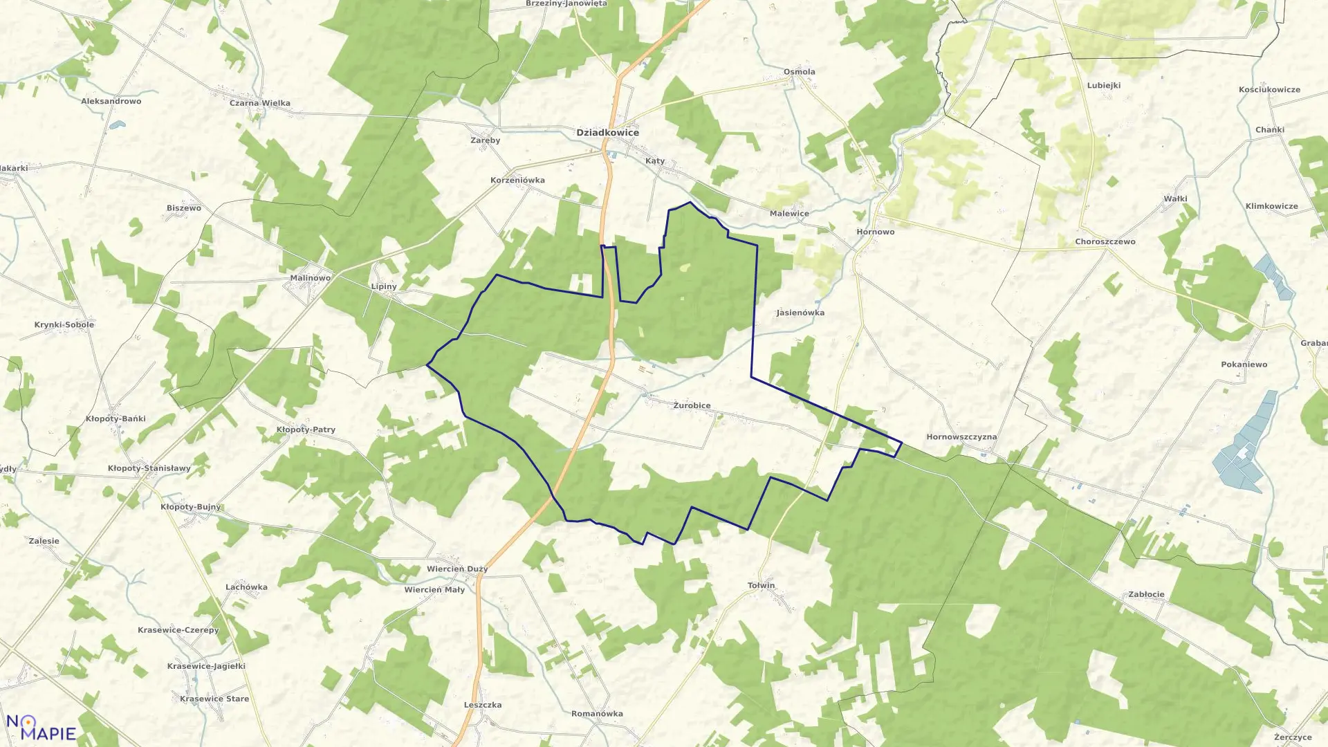 Mapa obrębu ŻUROBICE w gminie Dziadkowice